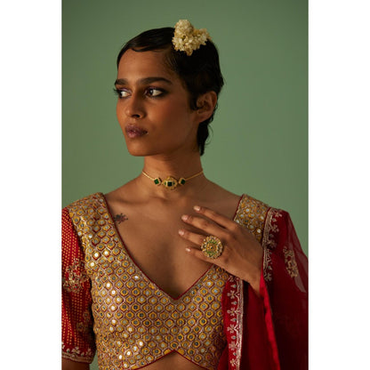 Surbhi Gupta Red Lehenga with Blouse and Dupatta (Set of 3)