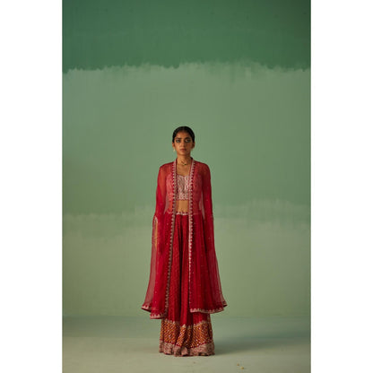 Surbhi Gupta Red Organza Cape, Blouse and Sharara (Set of 3)