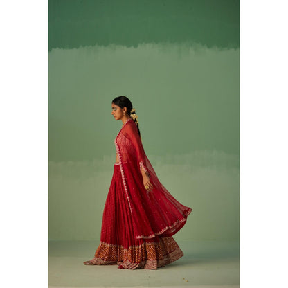 Surbhi Gupta Red Organza Cape, Blouse and Sharara (Set of 3)