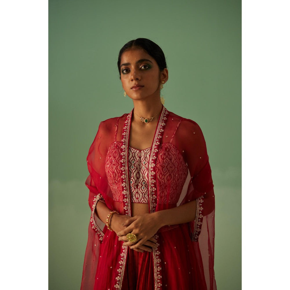 Surbhi Gupta Red Organza Cape, Blouse and Sharara (Set of 3)