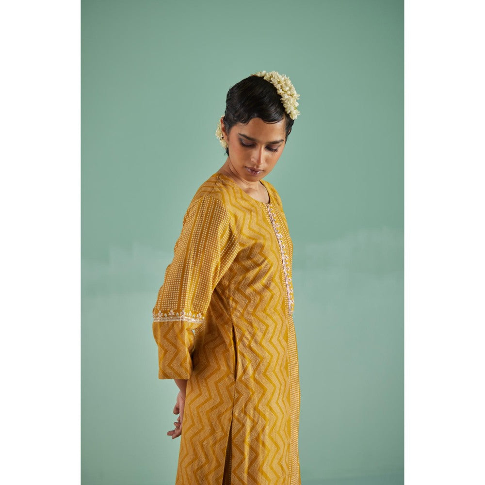 Surbhi Gupta Ochre Straight Kurta and Pant (Set of 2)