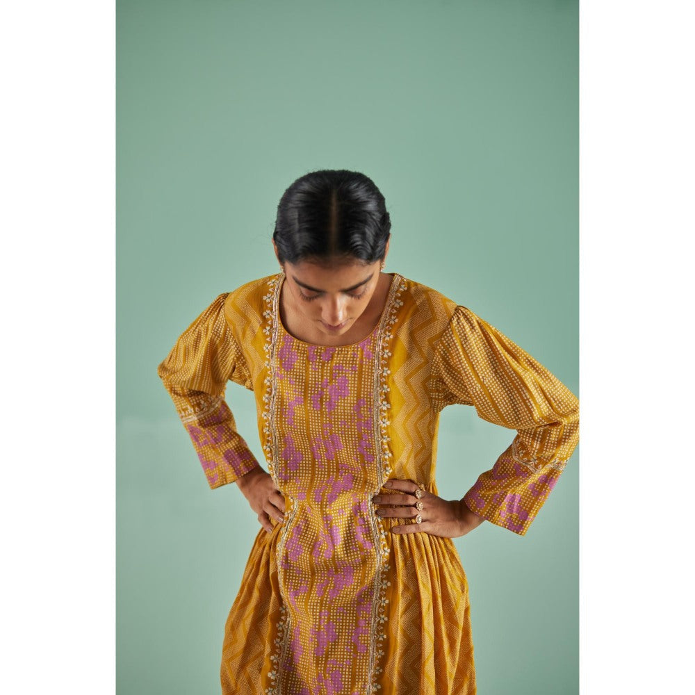 Surbhi Gupta Ochre Antifit Kurta and Pant (Set of 2)