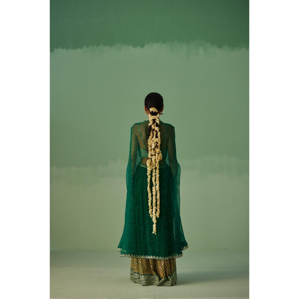 Surbhi Gupta Emerald Green Organza Cape, Blouse and Sharara (Set of 3)