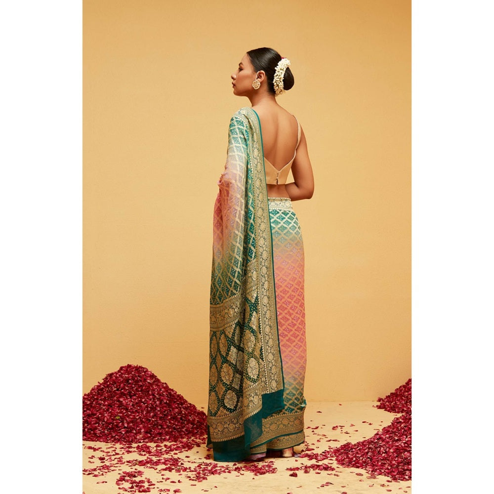 Suruchi Parakh Womens Green Handloom Saree and Unstitched Blouse