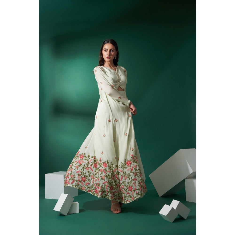 Suruchi Parakh Womens Green Embellished Dress and Overlay (Set of 2)