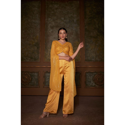 Suruchi Parakh Womens Yellow Embroidered Co-ord (Set of 2)