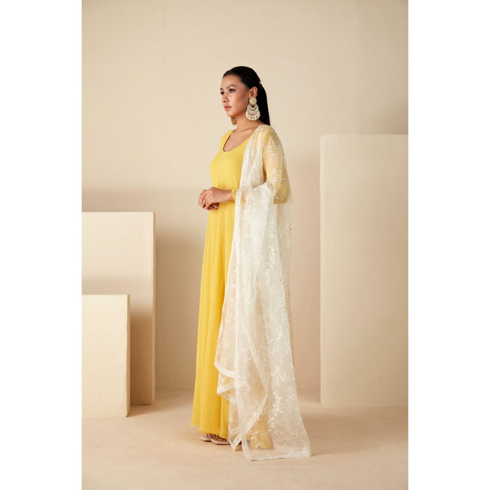 Suruchi Parakh Womens Yellow Solid Anarkali Kurta and Dupatta (Set of 2)