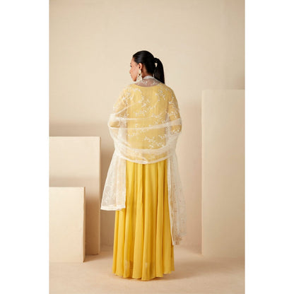 Suruchi Parakh Womens Yellow Solid Anarkali Kurta and Dupatta (Set of 2)