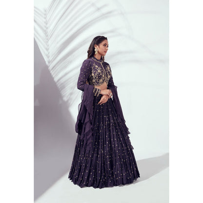 Suruchi Parakh Womens Embellished Blouse with Lehenga and Dupatta (Set of 3)