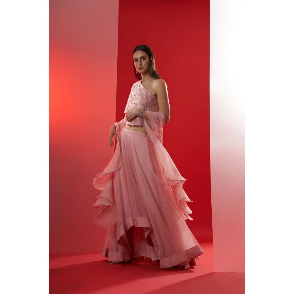 Suruchi Parakh Womens Pink Embellished Blouse with Lehenga and Dupatta (Set of 3)