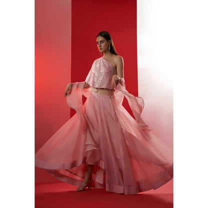 Suruchi Parakh Womens Pink Embellished Blouse with Lehenga and Dupatta (Set of 3)