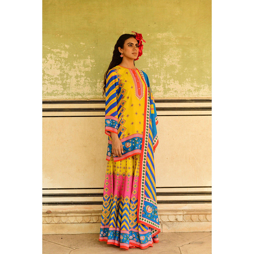 Swati Vijaivargie Multi Laila Kurti with Sharara & Dupatta (Set of 3)