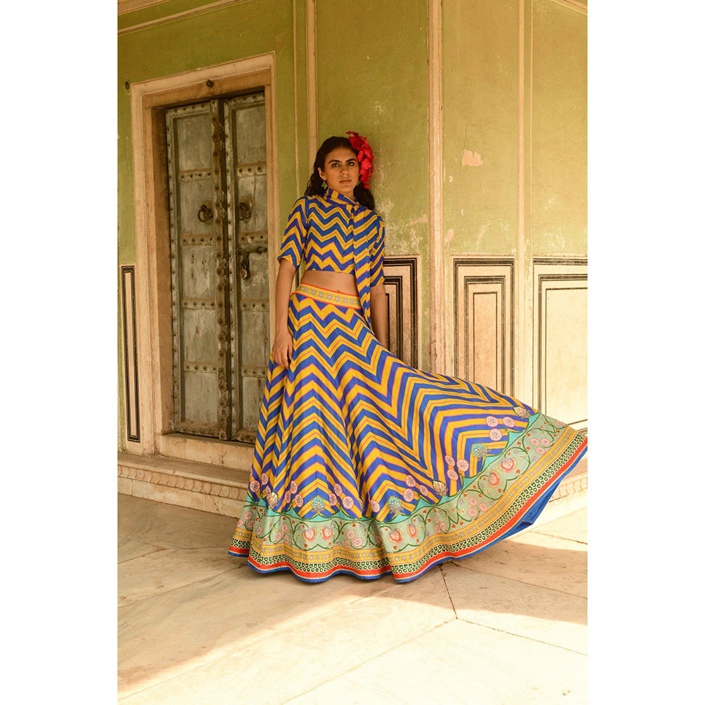 Swati Vijaivargie Blue Mastani Crop Top & Lehenga (Set of 2)