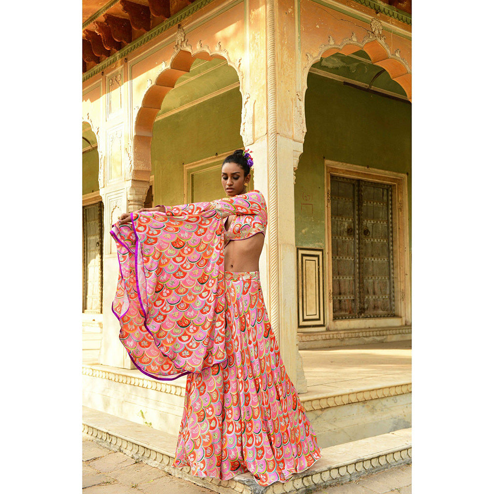 Swati Vijaivargie Gulbahar Crop Top