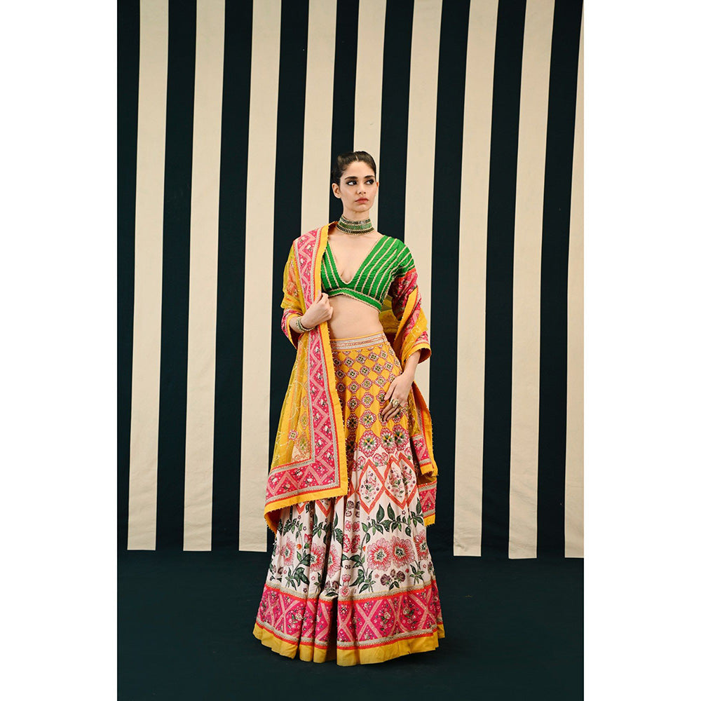 Swati Vijaivargie Gulmohar Tarang Lehenga with Blouse & Dupatta (Set of 3)