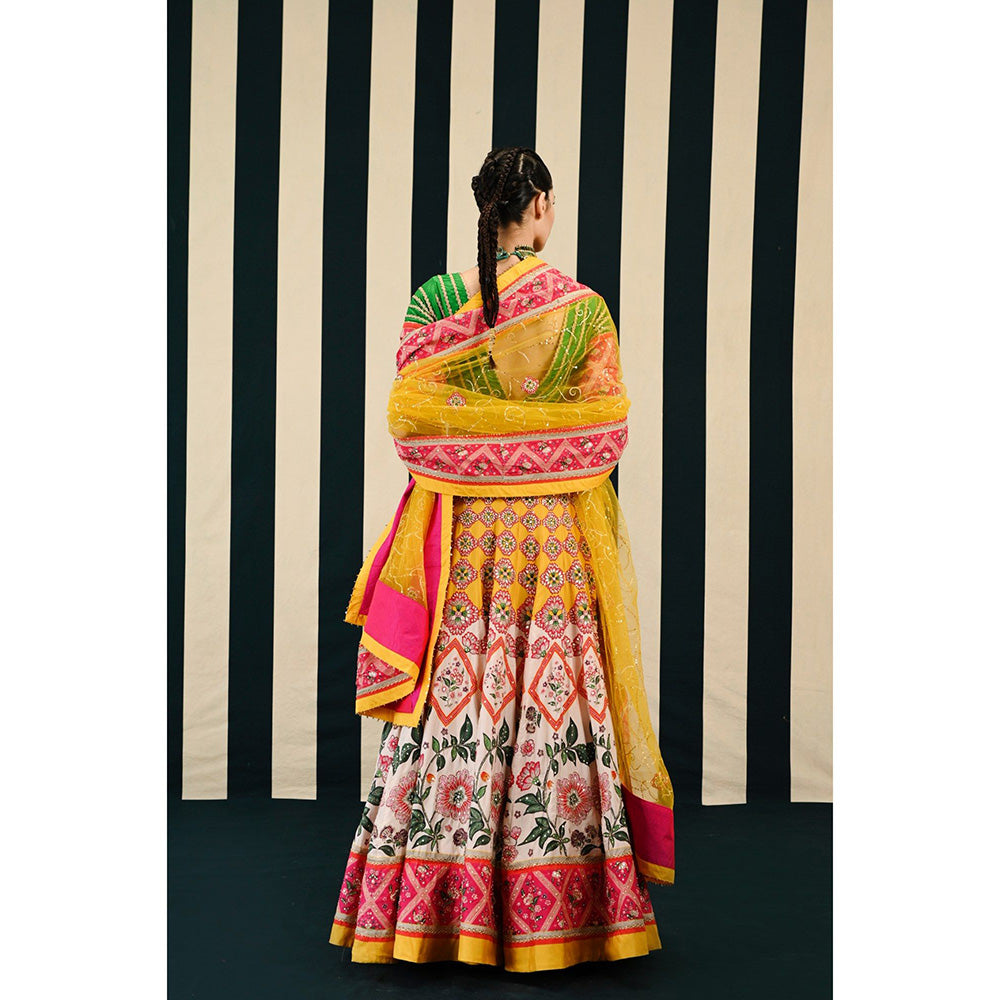 Swati Vijaivargie Gulmohar Tarang Lehenga with Blouse & Dupatta (Set of 3)