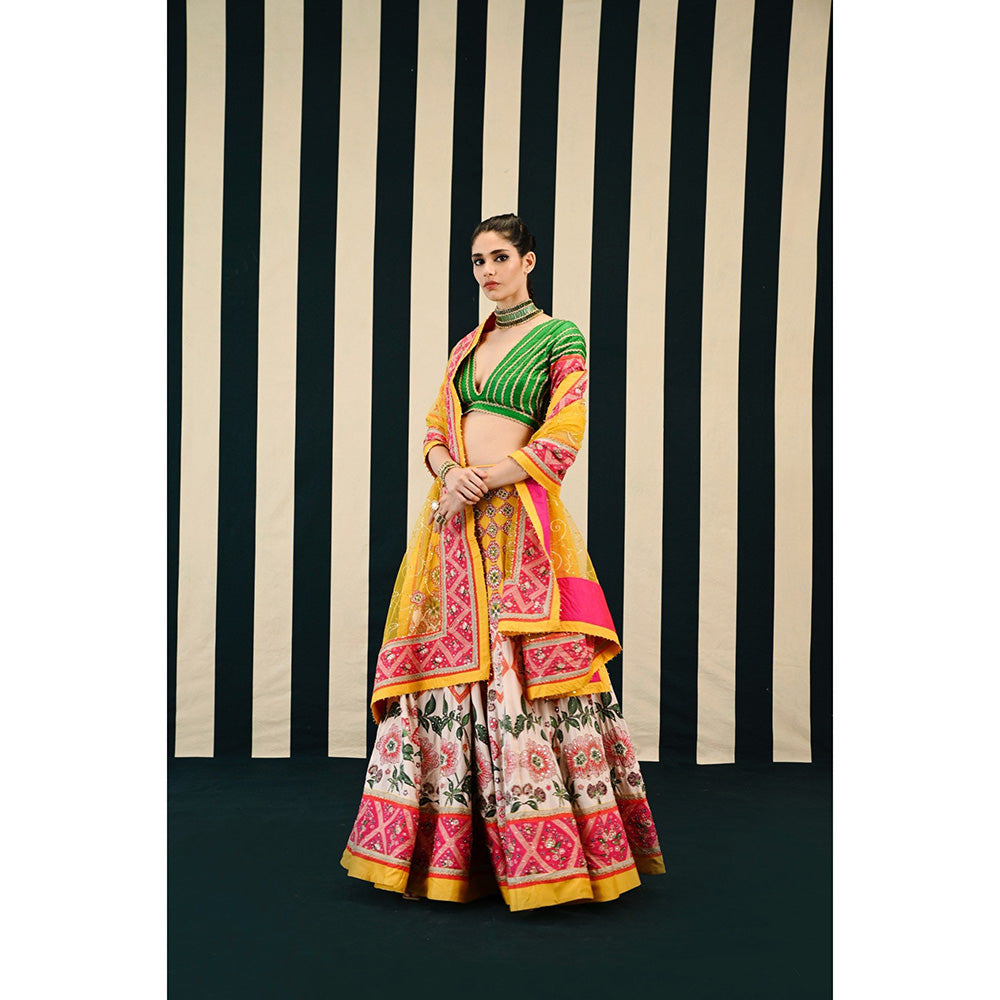 Swati Vijaivargie Gulmohar Tarang Lehenga with Blouse & Dupatta (Set of 3)