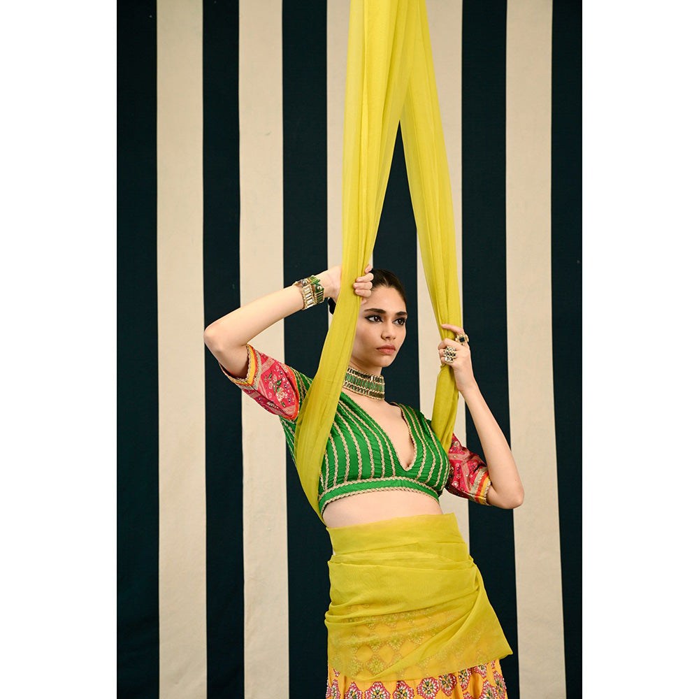 Swati Vijaivargie Gulmohar Tarang Lehenga with Blouse & Dupatta (Set of 3)