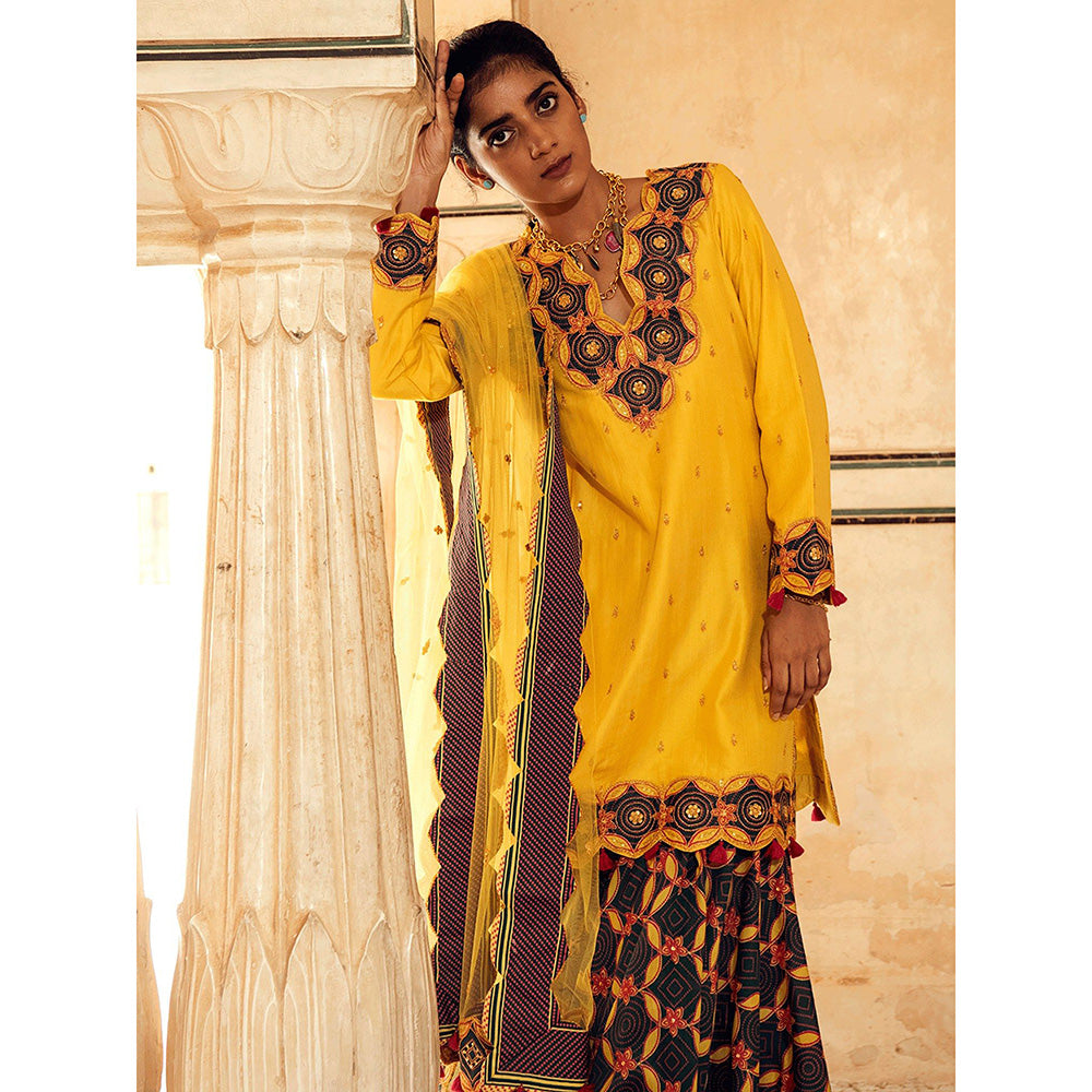 Swati Vijaivargie Doongri Kurti with Chandramahal Sharara and Barmer Dupatta (Set of 3)