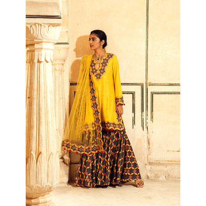 Swati Vijaivargie Doongri Kurti with Chandramahal Sharara and Barmer Dupatta (Set of 3)