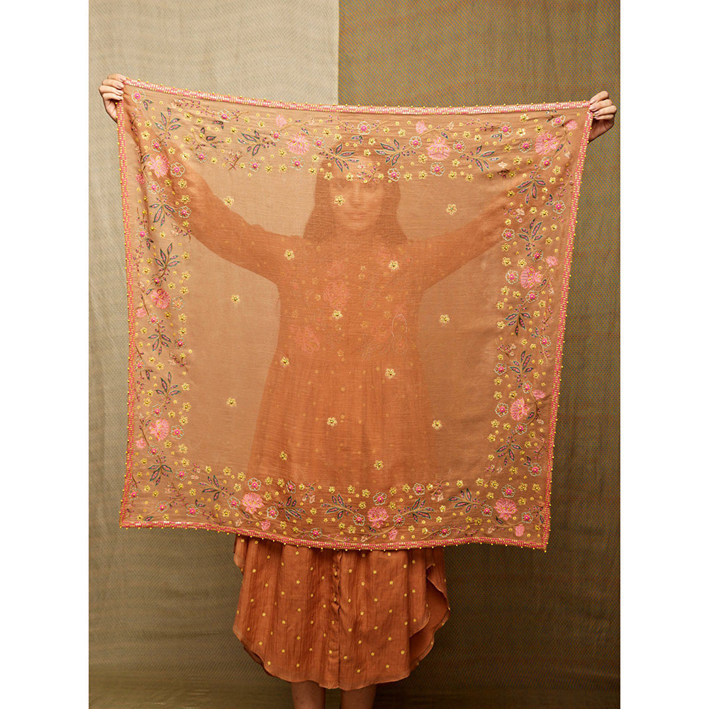 Swati Vijaivargie Rose Brown Embroidered Scarf