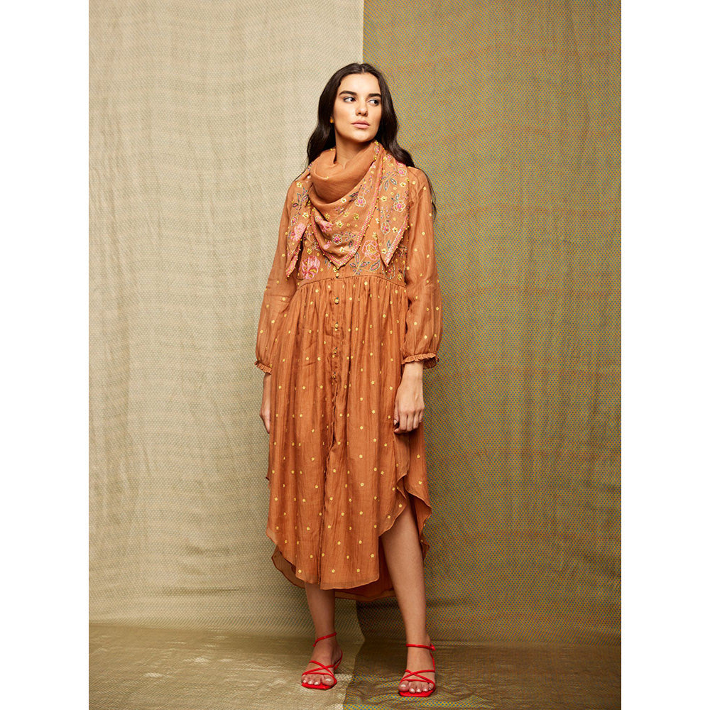 Swati Vijaivargie Rose Brown Embroidered Scarf