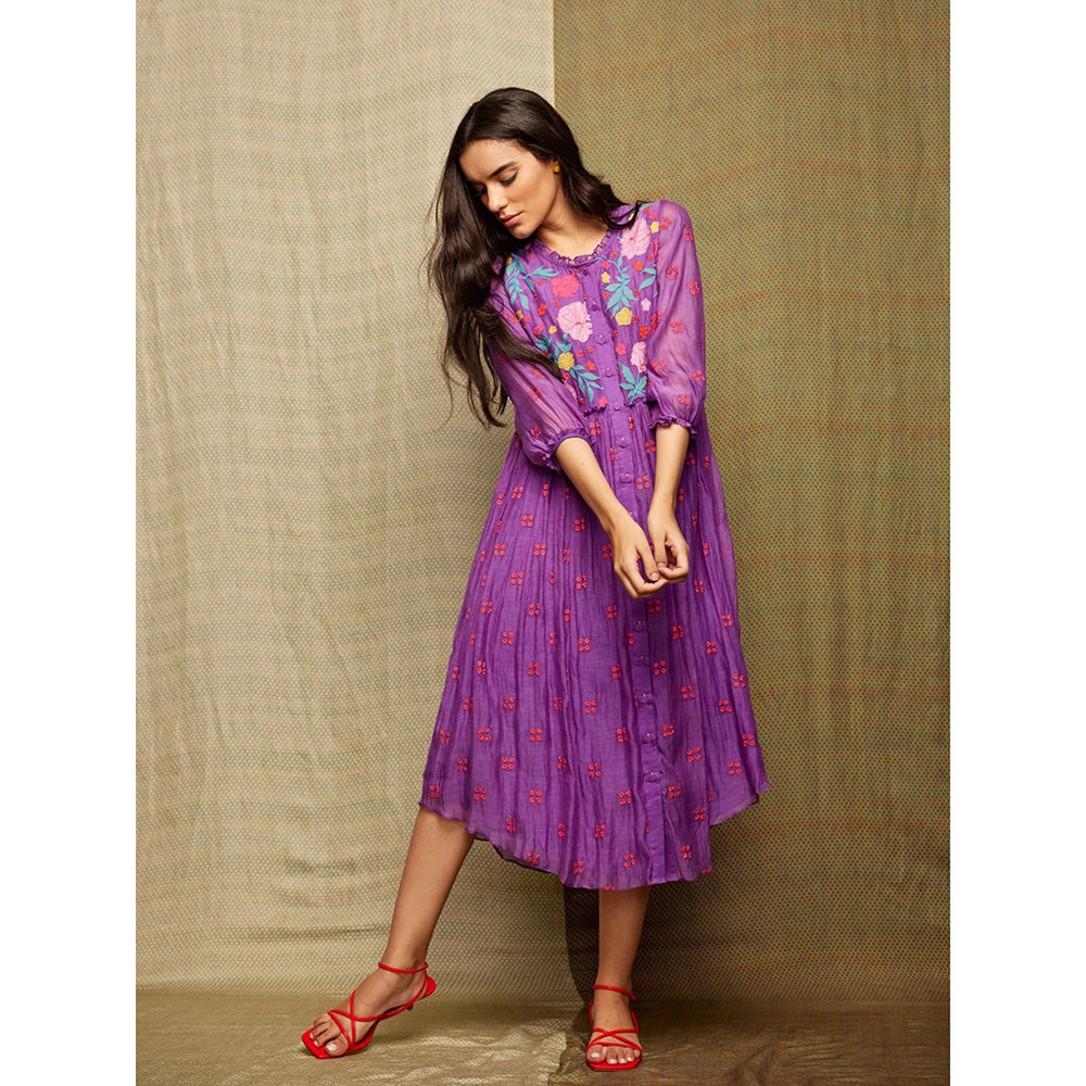 Swati Vijaivargie Rose Purple Multi Applique Dress