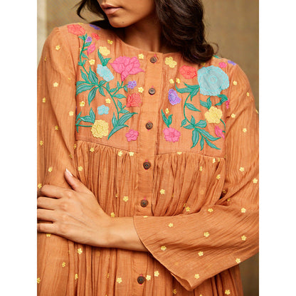 Swati Vijaivargie Rose Brown Applique Embroidered Dress