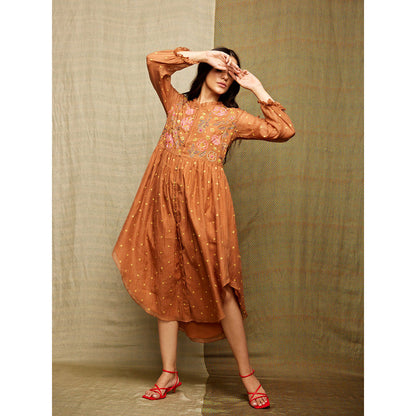 Swati Vijaivargie Rose Brown Embroidered Dress