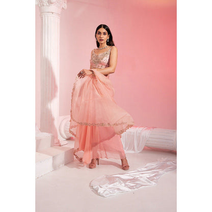 Swati Wadhwani Aafreen Embellished Drape Skirt with Blouse and Cape (Set of 3)