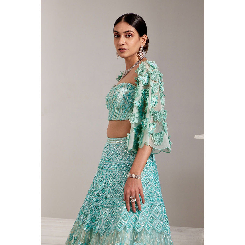 Swati Wadhwani Miraan Embellished Blouse with 3-D Sleeves and Lehenga (Set of 3)