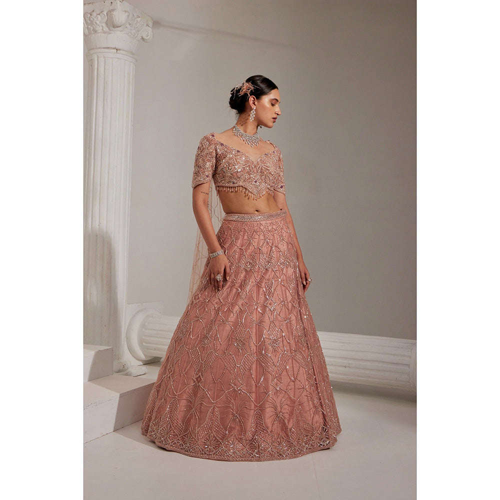 Swati Wadhwani Naaz Embellished Lehenga and Blouse with Dupatta (Set of 3)