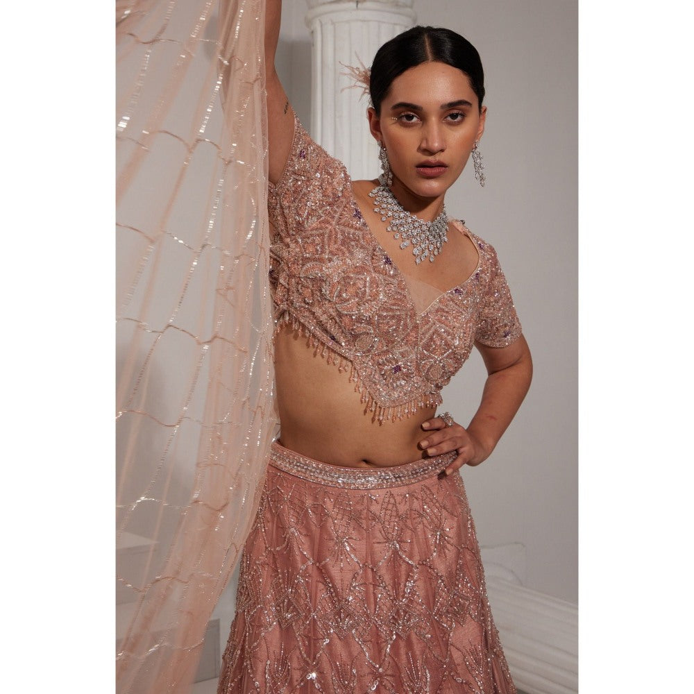 Swati Wadhwani Naaz Embellished Lehenga and Blouse with Dupatta (Set of 3)