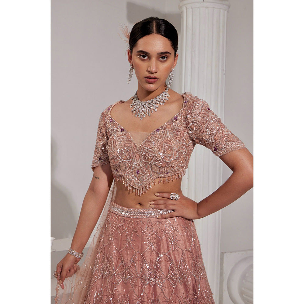 Swati Wadhwani Naaz Embellished Lehenga and Blouse with Dupatta (Set of 3)