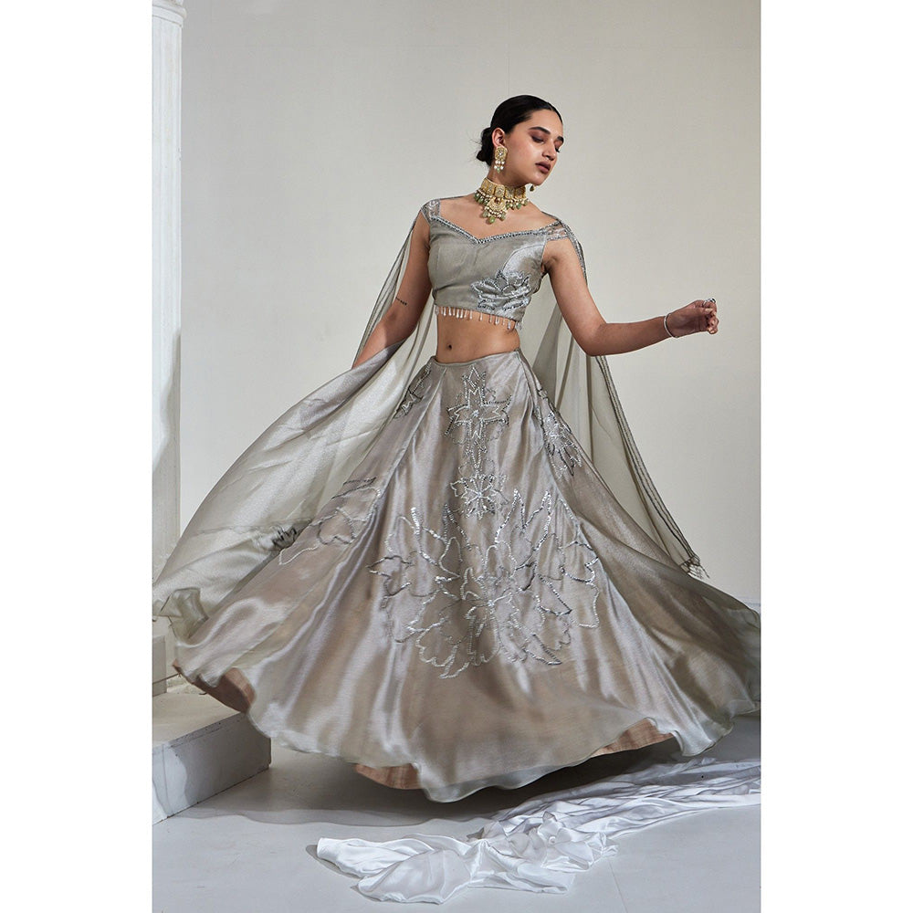 Swati Wadhwani Adiba Metallic Embellished Blouse with Lehenga and Dupatta (Set of 3)