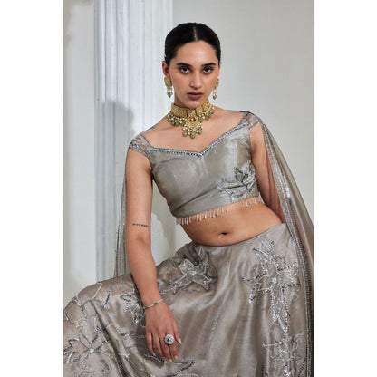 Swati Wadhwani Adiba Metallic Embellished Blouse with Lehenga and Dupatta (Set of 3)