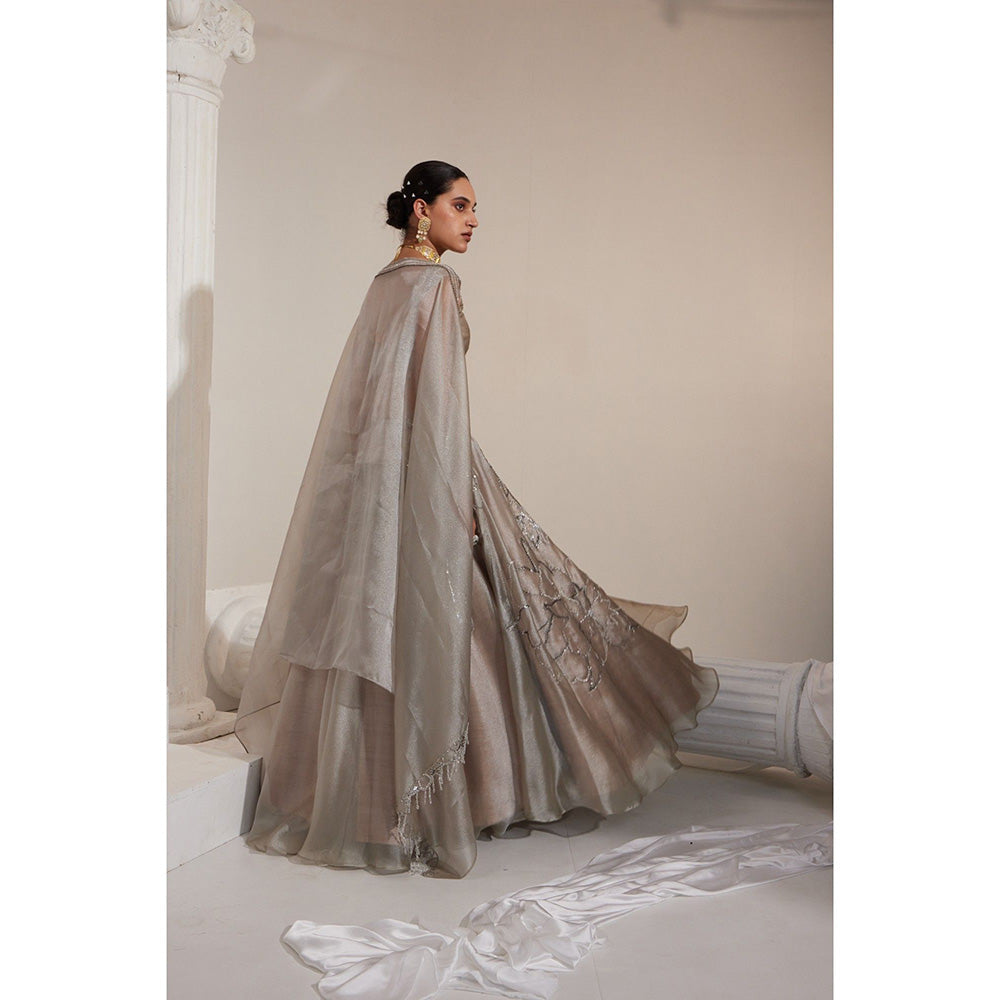 Swati Wadhwani Adiba Metallic Embellished Blouse with Lehenga and Dupatta (Set of 3)