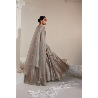 Swati Wadhwani Adiba Metallic Embellished Blouse with Lehenga and Dupatta (Set of 3)