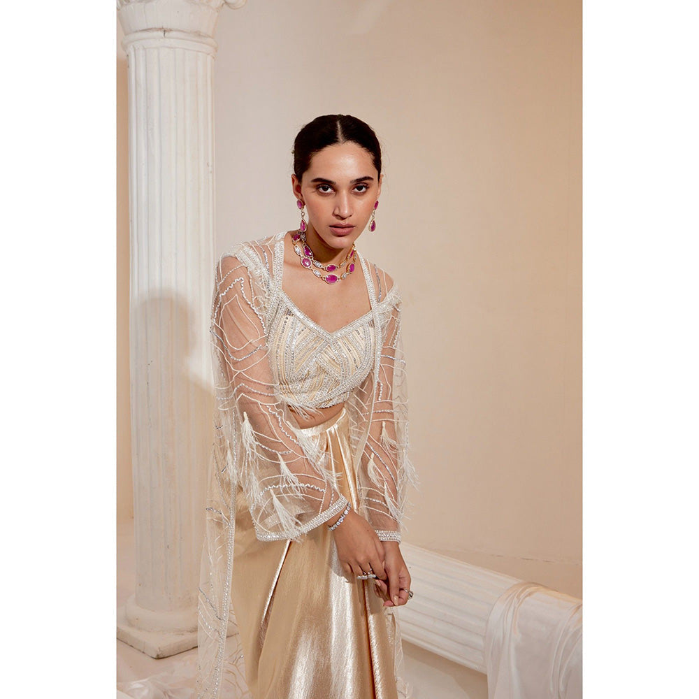 Swati Wadhwani Zahida Embellished Drape Skirt with Blouse and Jacket (Set of 3)