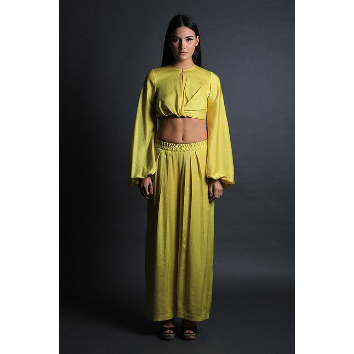 Swatee Singh Inverted Full Sleeves Crop Top With Pleated Pants (Set of 2)