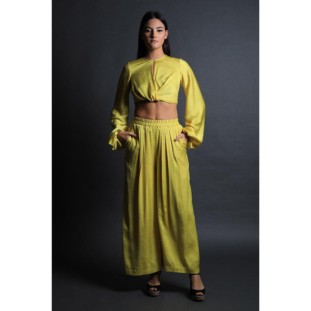 Swatee Singh Inverted Full Sleeves Crop Top With Pleated Pants (Set of 2)