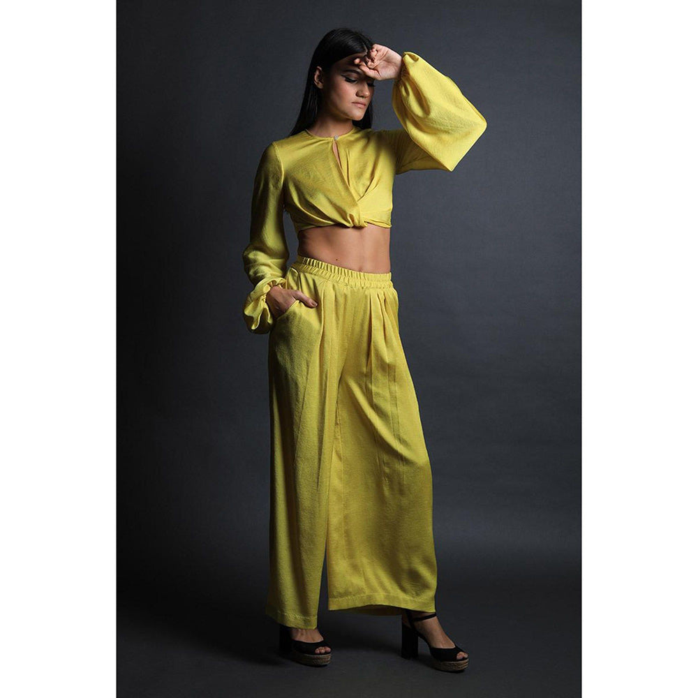 Swatee Singh Inverted Full Sleeves Crop Top With Pleated Pants (Set of 2)