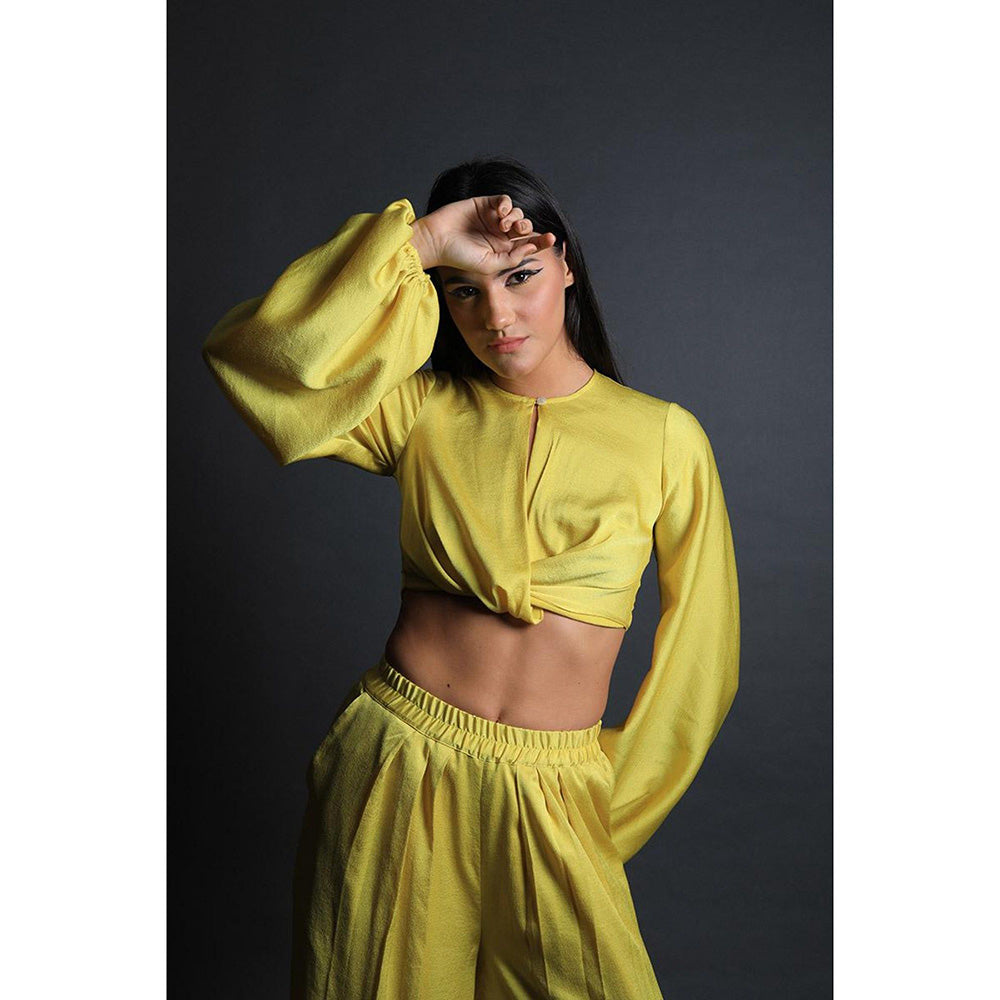 Swatee Singh Inverted Full Sleeves Crop Top With Pleated Pants (Set of 2)