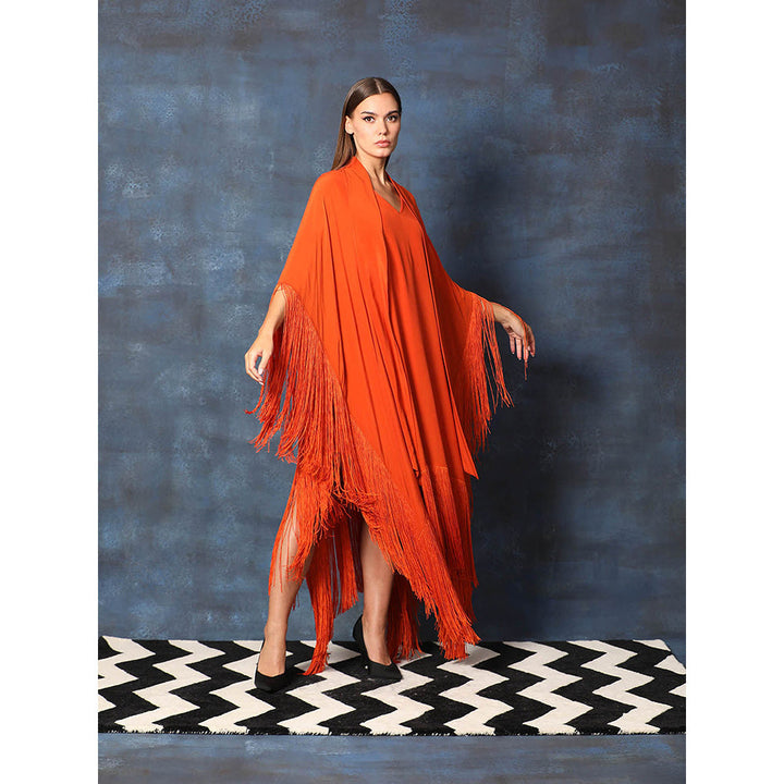 Swatee Singh Scarf Collar V Neck Kaftan Asymmetrical Dress With Fringes