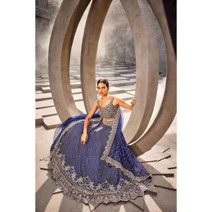 SWATHI VELDANDI Blue Lehenga Choli and Dupatta (Set of 3)