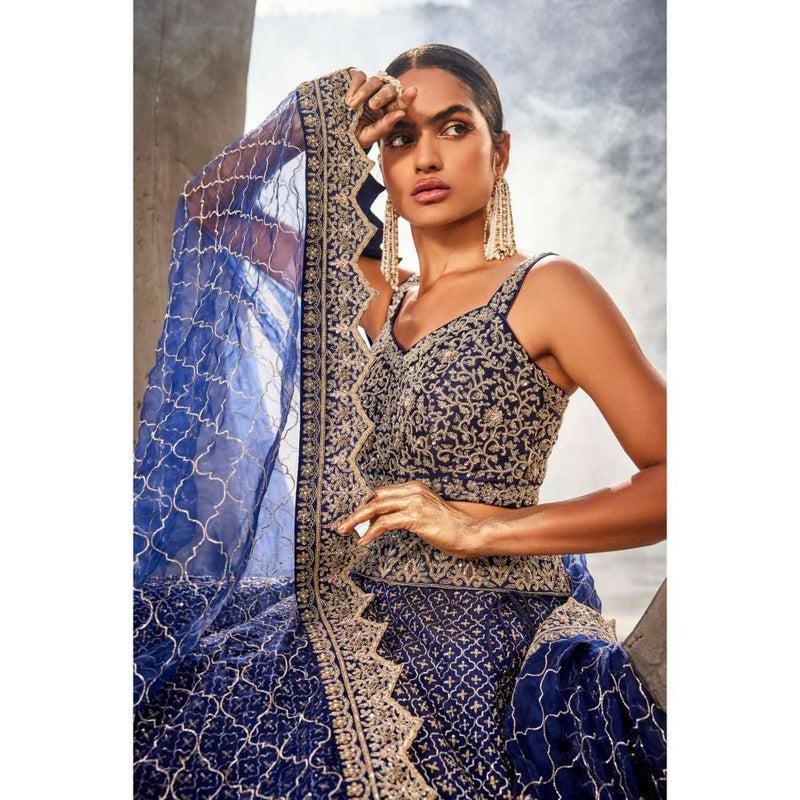 SWATHI VELDANDI Blue Lehenga Choli and Dupatta (Set of 3)