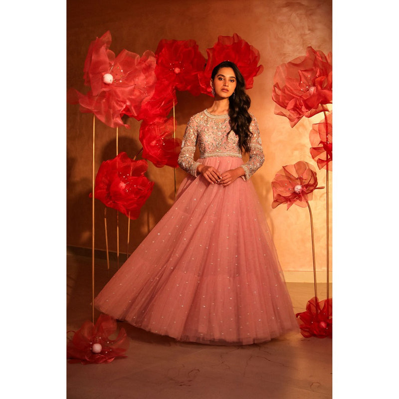 SWATHI VELDANDI Ornate Onion Pink Embroidered Net Gown
