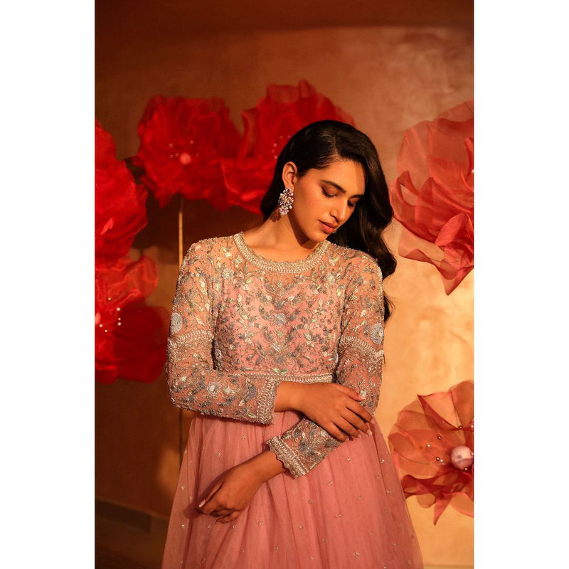 SWATHI VELDANDI Ornate Onion Pink Embroidered Net Gown