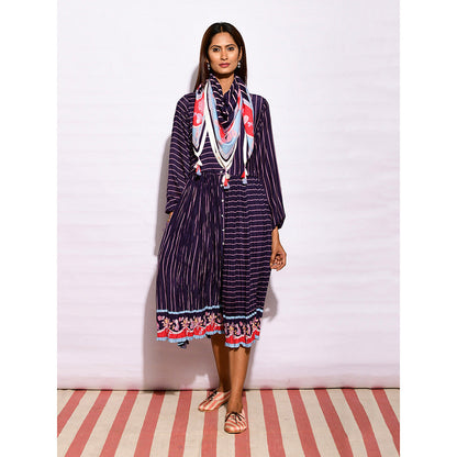 Swati Vijaivargie In Bloom Navy Blue Striped Crushed Dress