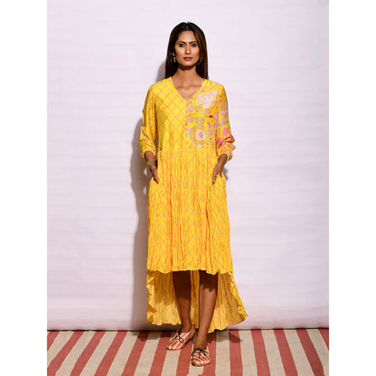Swati Vijaivargie In Bloom Yellow Diamond Asymmetric Printed Dress